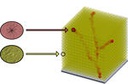 Lebendige Knochen aus dem 3D-Drucker