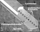 Lichtschalter im Gehirn