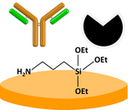 Publication by Sandeep K. Vashist in Chemical Reviews (IF 45.7)