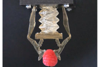 Sustainable Soft Robotics Breakthrough at IMTEK