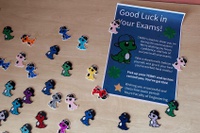 TERRY Supports You During Exam Season